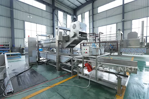 Continuous Fryer Machine