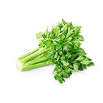 Celery