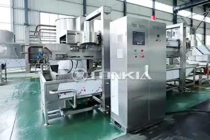 Continuous Fryer Machine