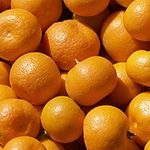 Citrus