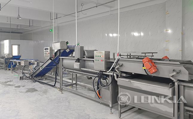 Salad Vegetable Washing and Cutting Processing Line Project Poland