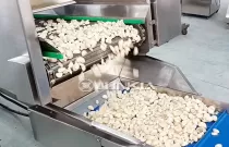 1000kg/H Automatic Garlic Peeling Machine Processing Line: Enhance Efficiency and Productivity