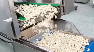 1000kg/H Automatic Garlic Peeling Machine Processing Line: Enhance Efficiency and Productivity