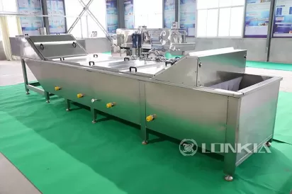 Blanching Machine