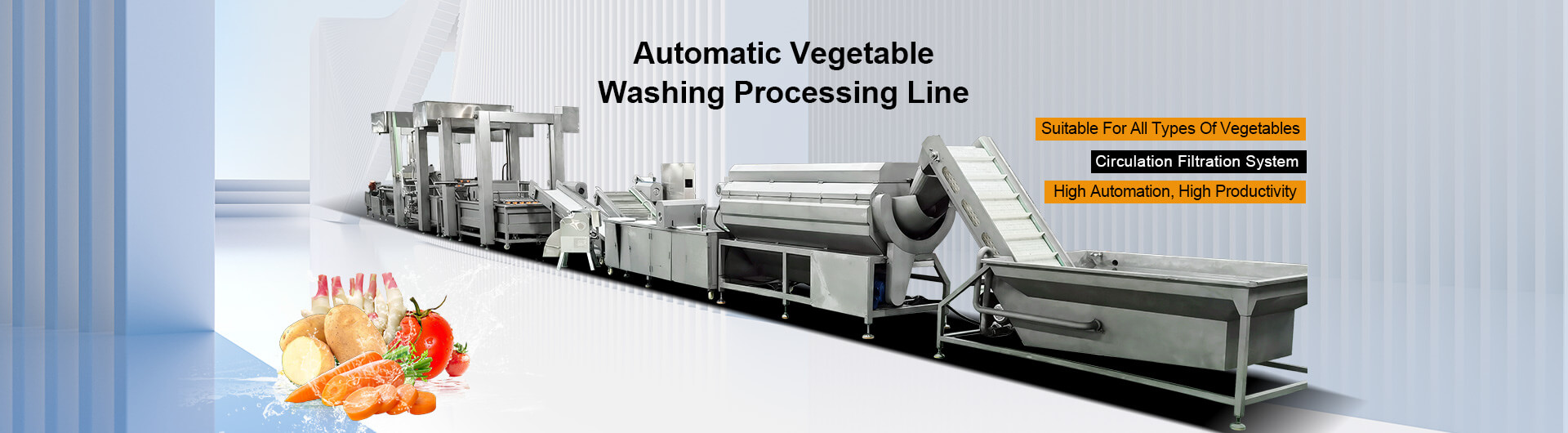 Automatic Vegetable Washing Processing Line