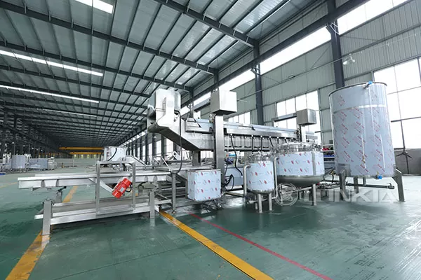 Continuous Frying Machine