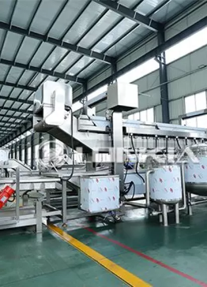 Continuous Fryer Machine