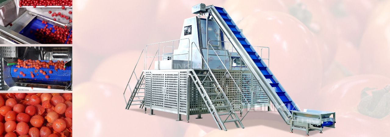 Tomato Steam Peeling Production Line Solution