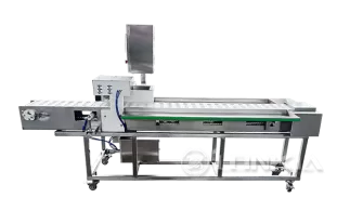 Food Stringing Machine