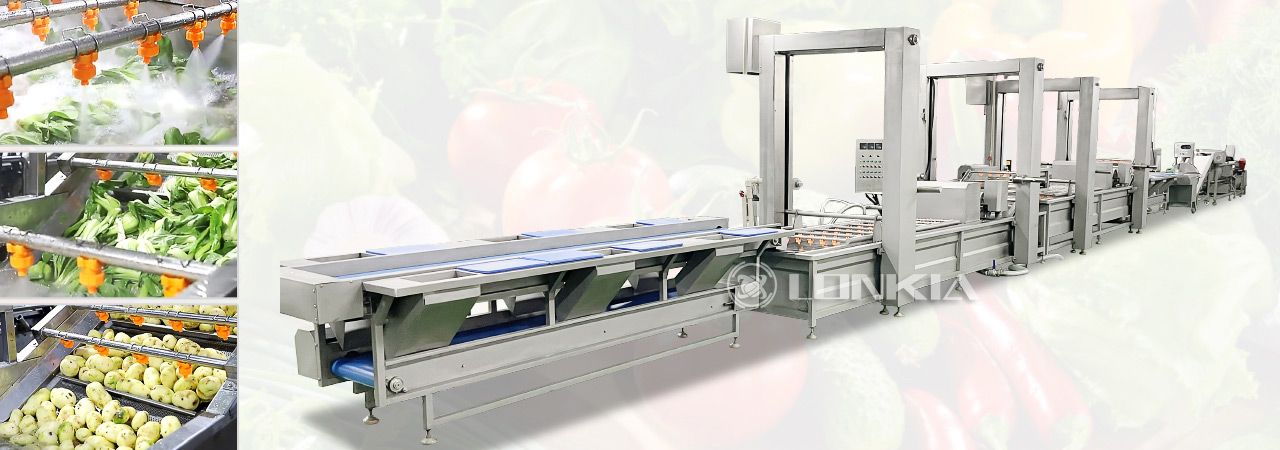 Clean Vegetable Processing Line Solution