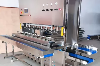 Mango Peeling Machine