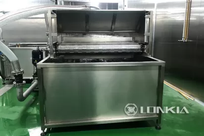 Bubble Meat Thawing Machine