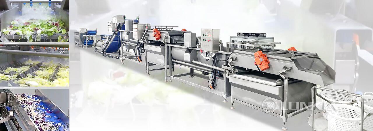 Vegetable Salad Processing Line Solution