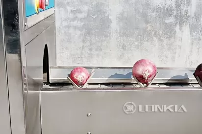 Onion Root Cutting Machine