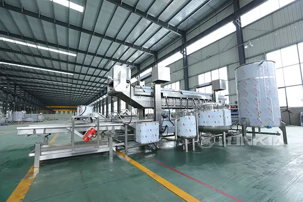 Continuous Fryer Machine