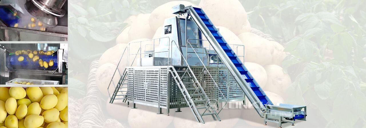 Steam Peeling Production Line Solution Potatoes & Tomatoes