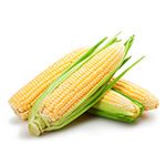 Corn