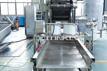 Continuous Frying Machine