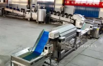 200kg/h French Fries and Chips Production Line