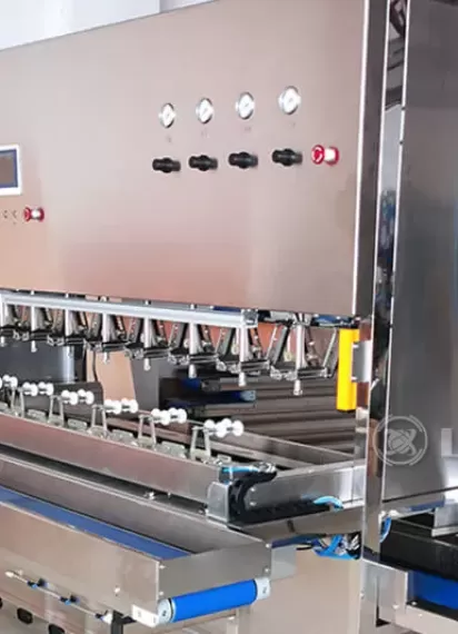 Mango Peeling Machine