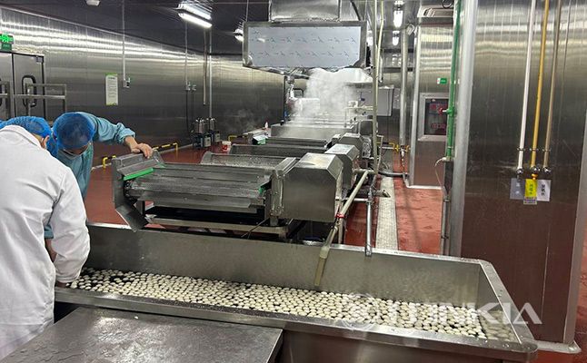 Meatball Blanching and Forming Processing line Project in Malaysia