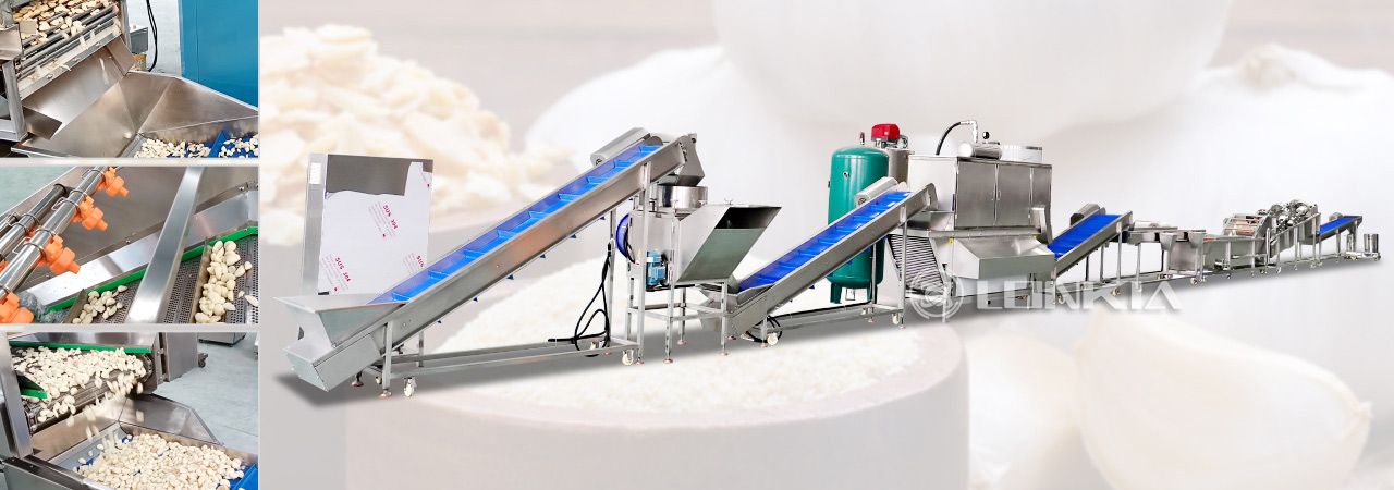 Industrial Garlic Peeling Packaging Processing Line Solution