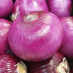 Onion