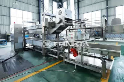 Continuous Frying Machine