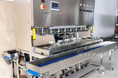 Mango Peeling Machine