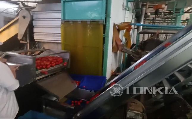 Tomato Washing Steam Peeling Production Line Project Thailand