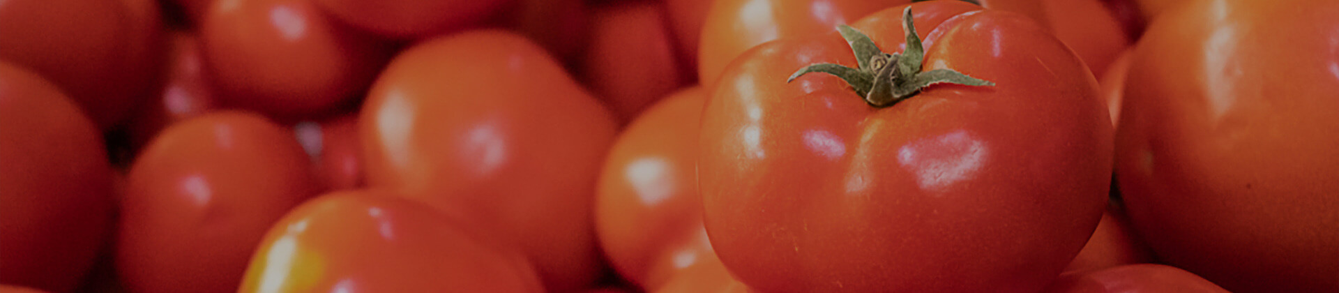 Tomato Steam Peeling Production Line