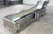 100kg/h Vegetables Salad Cutting Washing Dewater Machine