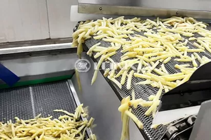 Potato Chips Frying Machine