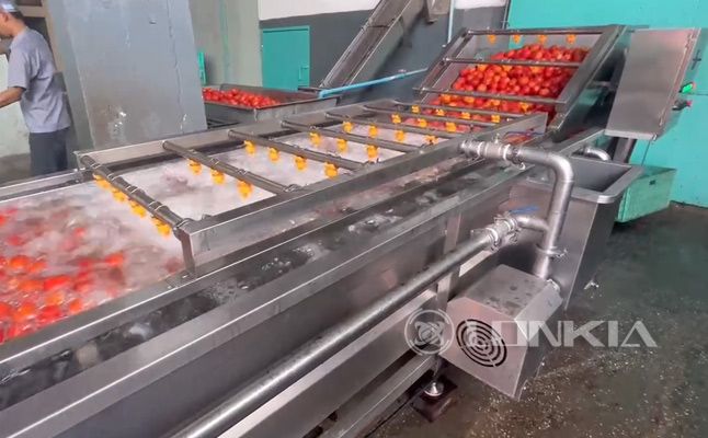 Tomato Washing Steam Peeling Production Line Project Thailand