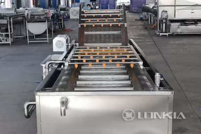 Fruit Vegetable Bubble Washer