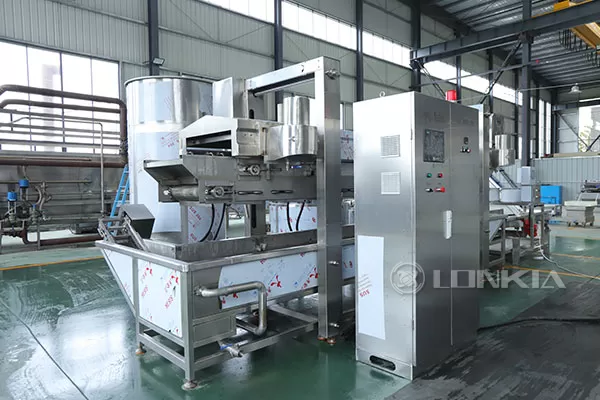 Continuous Fryer Machine