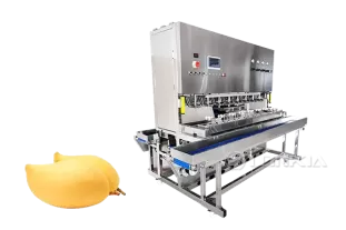 Mango Peeling Machine