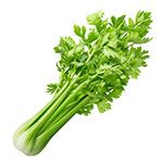 Celery