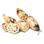 Lotus Root